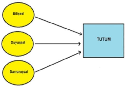 cats - Tutum Nedir ?