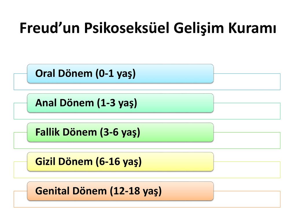 FreudunPsikoseksuelGelisimKurami - SİGMUND FREUD’UN PENCERESİ